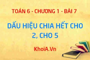 Dấu hiệu chia hết cho 2, dấu hiệu chia hết cho 5 - Lý thuyết Toán 6 bài 7